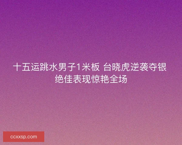 十五运跳水男子1米板 台晓虎逆袭夺银 绝佳表现惊艳全场